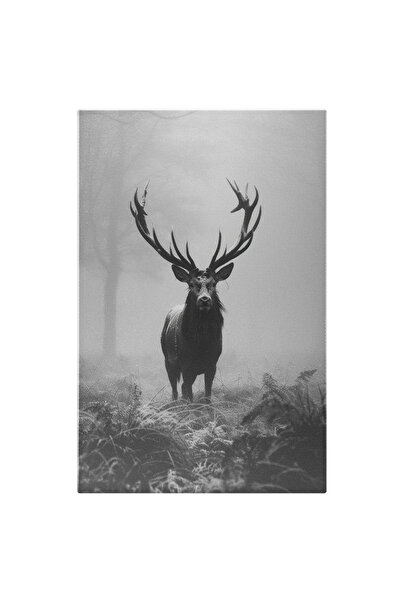 StoryGift Romania Tablou Canvas: Portret Bovină Cu Coarne Mari, Animal Sălbatic Și Iarbă- Fotografie Alb-negru P