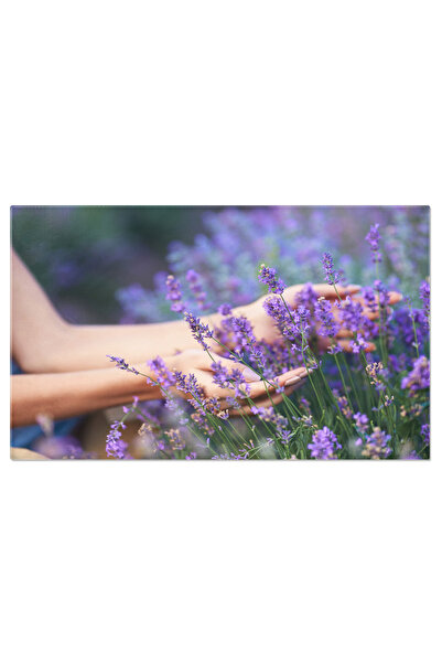 StoryGift Romania Tablou Canvas: Camp De Lavanda - Eleganta Florala Si Aromat...