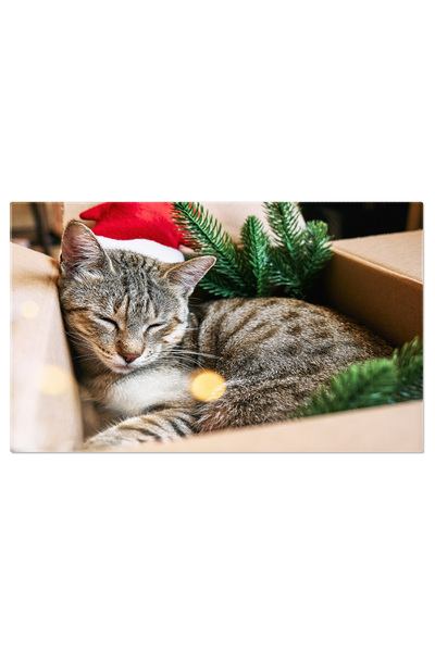 StoryGift Romania Tablou Canvas Pisica Tabby Cu Palarie De Mos Craciun Rosie ...
