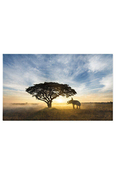 StoryGift Romania Tablou Canvas Elefant La Rasarit In Delta Dunarii Natura, A...