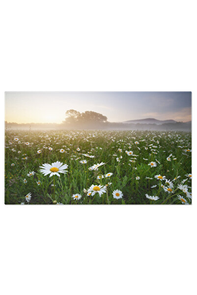 StoryGift Romania Tablou Canvas Valea Baydarskaya A Florilor De Camp Margaret...