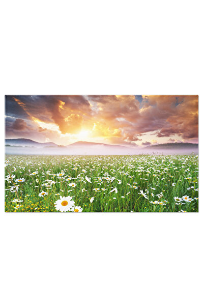 StoryGift Romania Tablou Canvas -cu Margarete In Dimineata Cetoasa Natura, Pe...