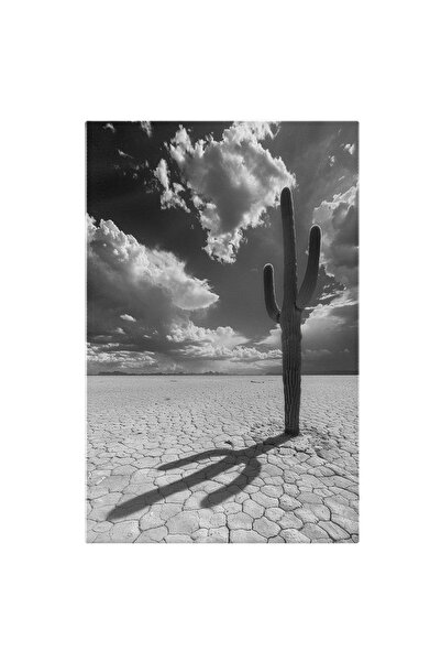 StoryGift Romania Tablou Canvas: Cactus Cu Umbră În Deșert Și Cer Cu Nori- Ar...