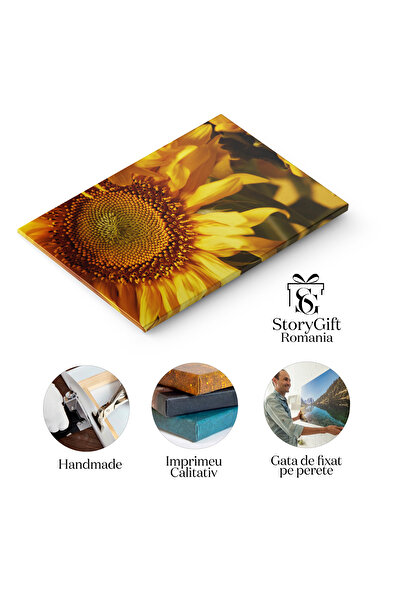 StoryGift Romania Tablou Canvas: Bucuria Naturii In Bloom - Background, Floral, Flower, Bright