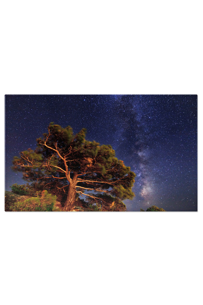 StoryGift Romania Tablou Canvas Noapte Cu Stele: Siluete Sub Cerul Instelat, Magie Nocturna