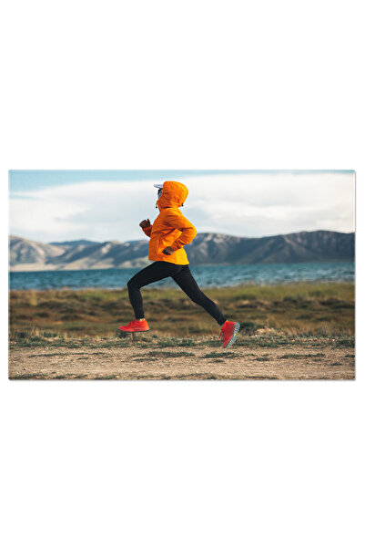 StoryGift Romania Tablou Canvas Alergare La Altitudini Inalte - Libertate Si ...