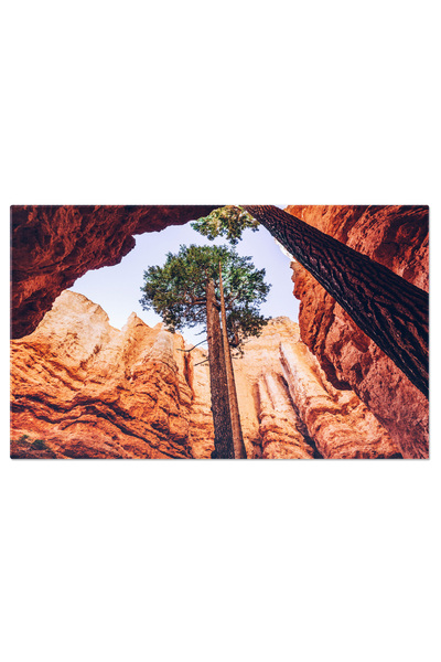 StoryGift Romania Tablou Canvas: Peisaj Spectaculos In Bryce Canyon - Geologie Si Culoare