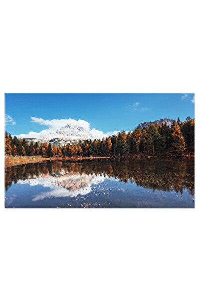 StoryGift Romania Tablou Canvas: Padure In Parc National - Munti, Aventura, P...