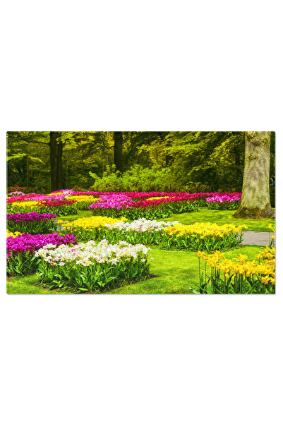 StoryGift Romania Tablou Canvas Gradina Keukenhof Flori Colorate De Lalele Si Trandafiri Primavara, Gradina, Keuk
