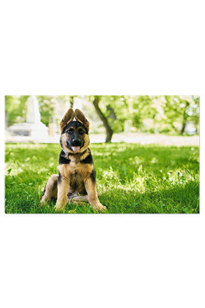 StoryGift Romania Tablou Canvas Barci Cu Pedale La Lacul Galve, Trakai, Litua...