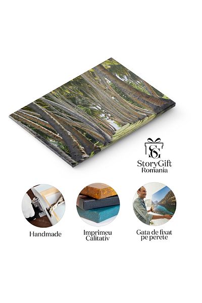 StoryGift Romania Tablou Canvas: Explorare In Aleea Tropicala