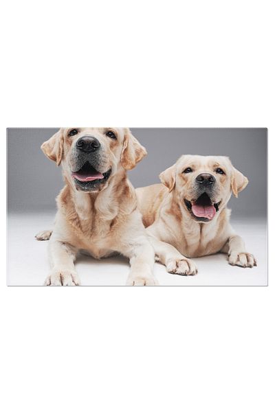 StoryGift Romania Tablou Canvas Labrador Crem - Prietenie Si Relaxare In Familie