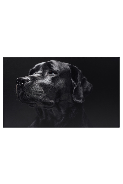 StoryGift Romania Tablou Canvas Labrador Retriever - Prietenul Fidel