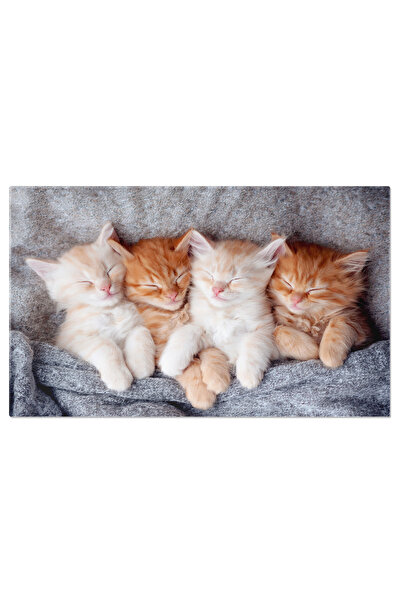 StoryGift Romania Tablou Canvas - Pisicuta Ginger Relaxandu-se: Blanita Stral...