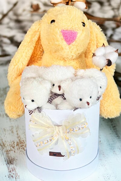 Sole Özel Kutuda, Sarı Tavşan, 5 Beyaz Ayıcık – Pamuk Çiçeği Dokunuşlu, Özel Ayıcık Buketi