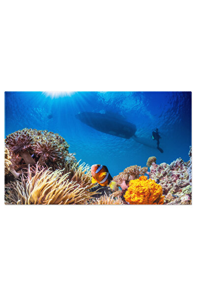 StoryGift Romania Tablou Canvas - Acvariu Plin De Culori: Lumea Fascinanta A ...