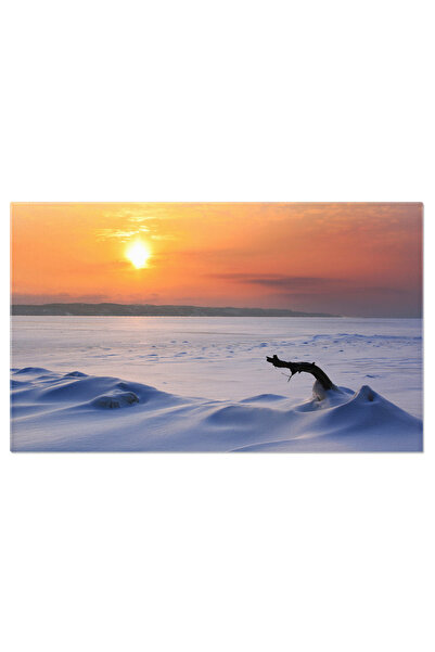 StoryGift Romania Tablou Canvas - Claritate In Inghet: Peisajul Friguros Al D...