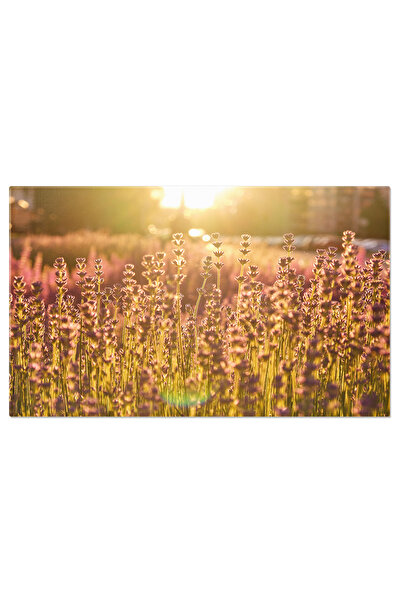 StoryGift Romania Tablou Canvas In Mijlocul Unui Camp De Lavanda, Un Ocean Mov Pur Si Simplu Fermecator O Aroma