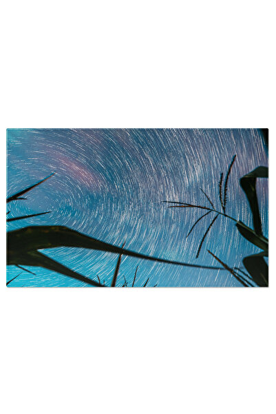 StoryGift Romania Tablou Canvas - Sub Cerul Instelat: Natura Si Cosmologia