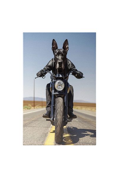 StoryGift Romania Tablou Canvas Marele Danez Negru Gonește Spre Vegas Pe O Motocicletă Între Liniile Continue , P