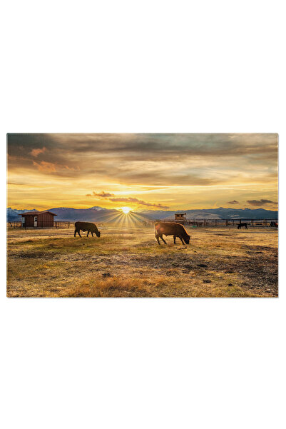 StoryGift Romania Tablou Canvas Bucurie Rurala Imagine Cu O Vaca Pasunand La ...