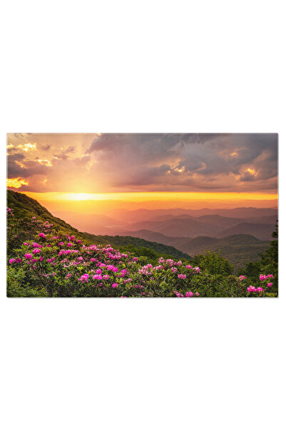 StoryGift Romania Tablou Canvas: Flori Frumoase In Craggy Gardens