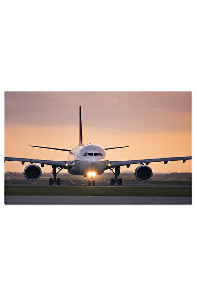 StoryGift Romania Tablou Canvas - Avion La Decolare: Aeroport, Zbor Comercial...