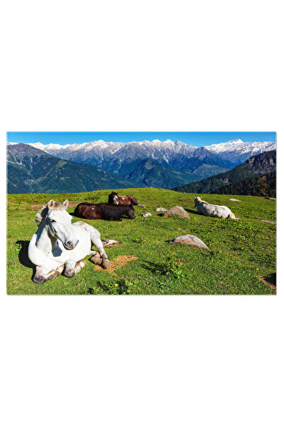 StoryGift Romania Tablou Canvas: Peisaje Paradisiace Din Himalaya: Frumusete ...
