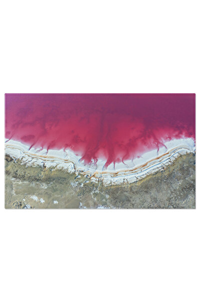 StoryGift Romania Tablou Canvas - Insula Jarilgach Din Ucraina: Natura Linist...