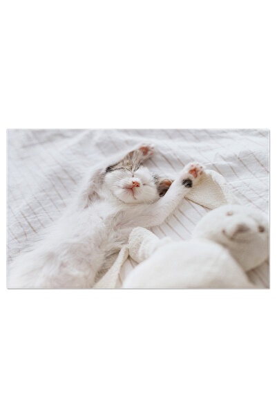 StoryGift Romania Tablou Canvas: Somn Odihnitor - Kitten Dragut Intr-un Pat P...