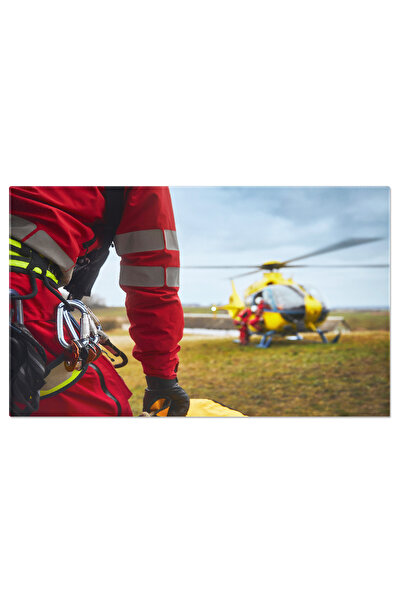 StoryGift Romania Tablou Canvas Fotografie Cerbii Sacri Sika In Parcul Nara Din Japonia; Japonia, Animal, Caprior