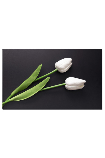 StoryGift Romania Tablou Canvas Doua Lalele Albe Pe Fundal Intunecat, Alb, La...