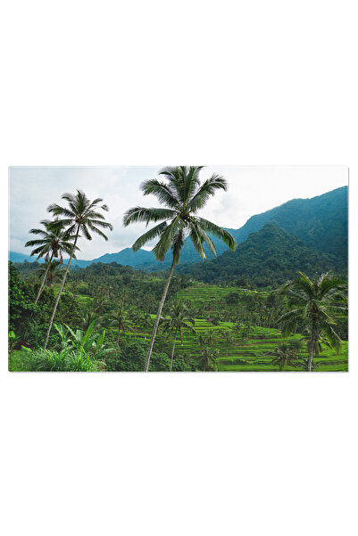 StoryGift Romania Tablou Canvas Cascada Frumoasa In Padurea Adanca, Cascada, ...