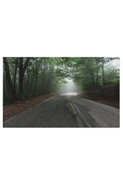 StoryGift Romania Tablou Canvas Drum Prin Padurea In Ceata, Peisaj, Padure, C...