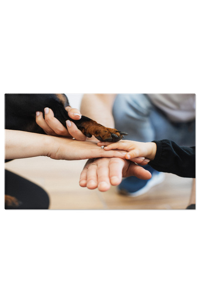 StoryGift Romania Tablou Canvas: Ochii Cainelui Si Afectiunea - Animale, Cain...