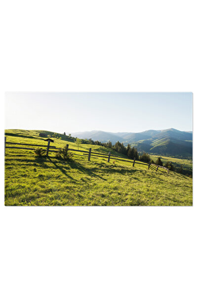 StoryGift Romania Tablou Canvas Compozitie A Naturii Munte, Iarba, Camp, Exte...