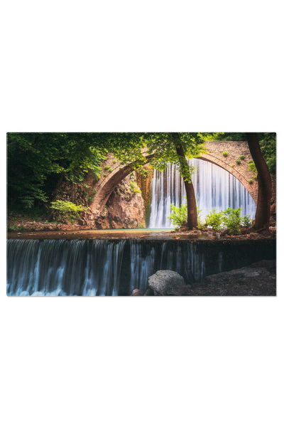 StoryGift Romania Tablou Canvas Impala In Botswana, Animale, Natura, Safari 2477