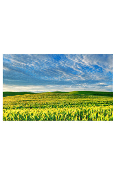 StoryGift Romania Tablou Canvas: Peisaj Verde Spectaculos, Zi Cu Soare