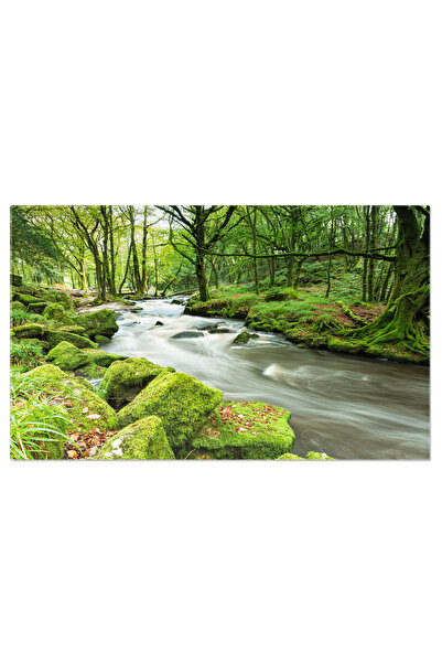 StoryGift Romania Tablou Canvas Padurea Magica, Raul Magic, Padure Fermecata,...