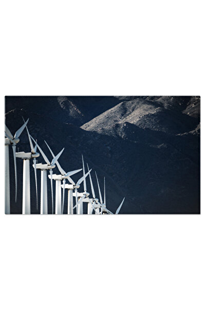 StoryGift Romania Tablou Canvas: Infrastructura Energetica - California, Tehn...