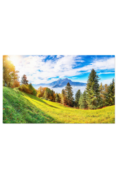 StoryGift Romania Tablou Canvas Padure In Suburbia Stansstad, Elvetia, Destin...