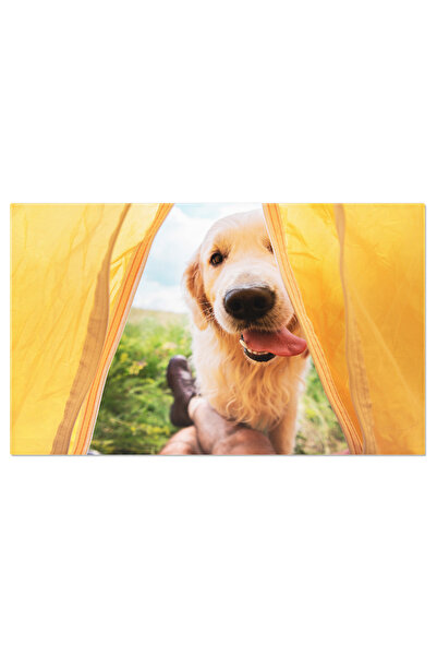 StoryGift Romania Tablou Canvas Calatorul In Cort Cu Golden Retriever Amuzant...