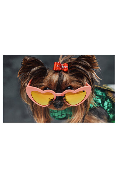 StoryGift Romania Tablou Canvas - Yorkshire Terrier: Moda, Portret, Ochelari,...