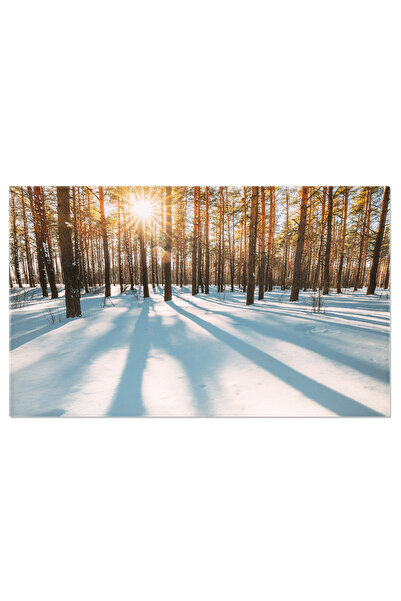 StoryGift Romania Tablou Canvas Vedere Albastra Minunata A Siluetei De Pini I...