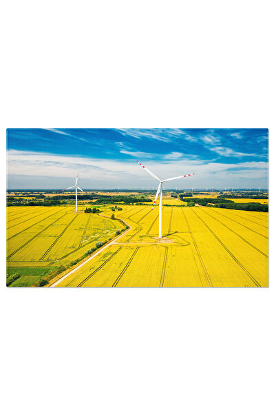 StoryGift Romania Tablou Canvas - Parcul Eolian: Turbine Eoliene In Campurile...