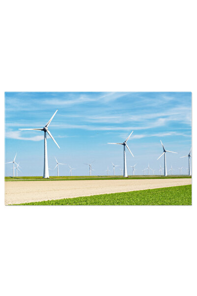 StoryGift Romania Tablou Canvas - Energie Verde Si Curata: Turbine Eoliene Si...