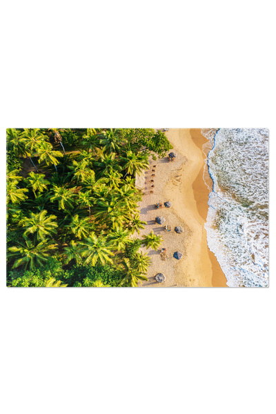 StoryGift Romania Tablou Canvas: Relaxare La Plaja - Palmieri Si Valuri Aeriene