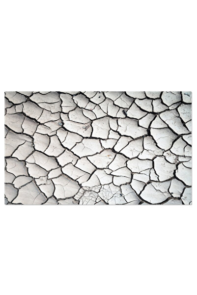 StoryGift Romania Tablou Canvas Cu Pamant Uscat - Crapaturi Si Viata In Mediu...