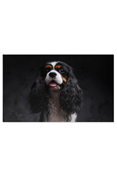 StoryGift Romania Tablou Canvas - Catelul King Charles Spaniel, Vesel Si Pufos Pe Fundal Intunecat