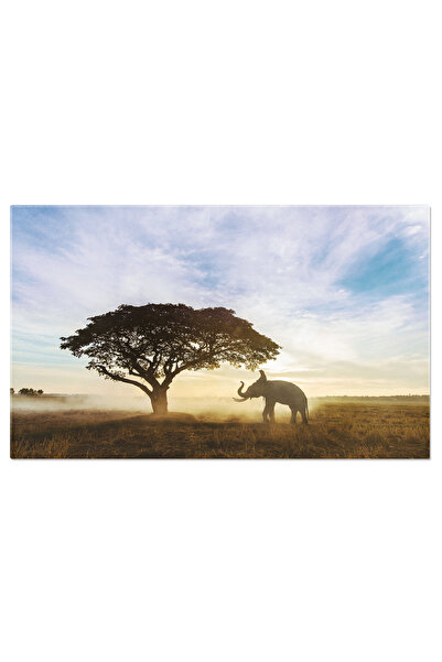 StoryGift Romania Tablou Canvas Elefant La Apus In Thailanda Agricultura, Ani...